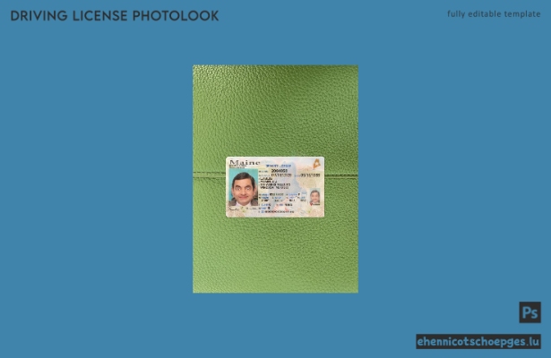 USA Maine Führerschein Fotoansicht 2023-heute